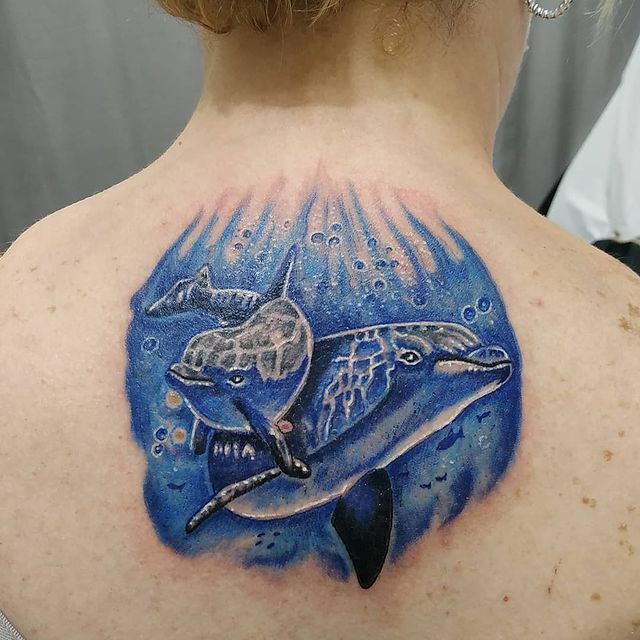 Delfines con fondo marino, en la espalda